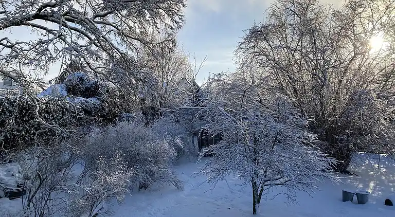 Gårdhus i Bergen op Zoom