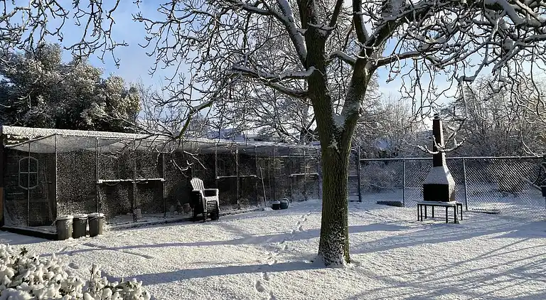 Holiday home in Bergen op Zoom