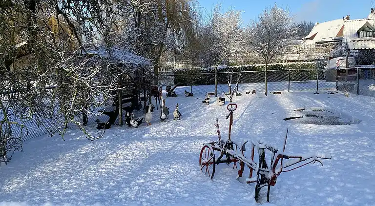 Holiday home in Bergen op Zoom