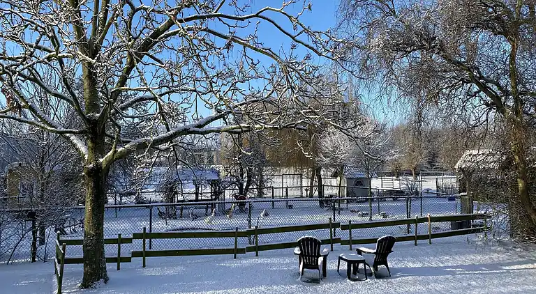Gårdhus i Bergen op Zoom