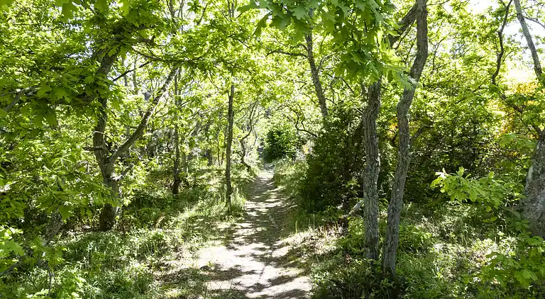 Gemütliches Ferienhaus 100 m vom Sandstrand