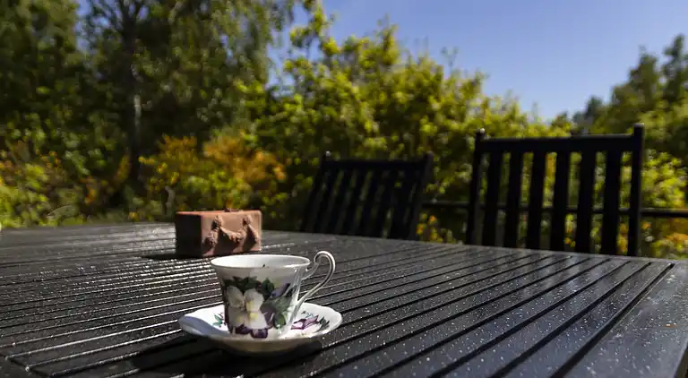 Gemütliches Ferienhaus 100 m vom Sandstrand
