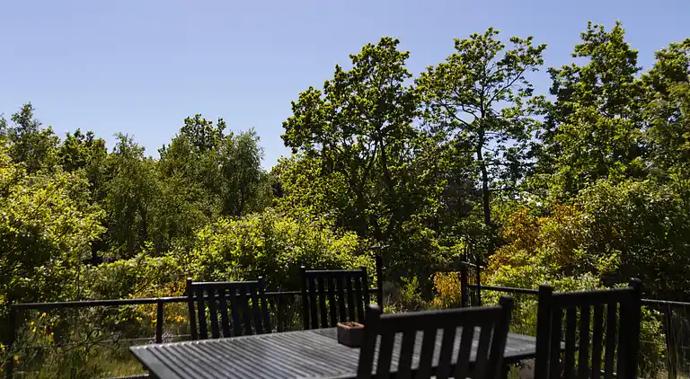 Gemütliches Ferienhaus 100 m vom Sandstrand