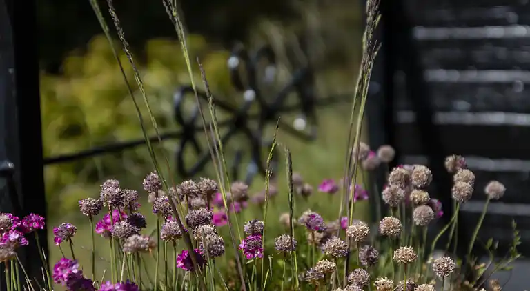 Gemütliches Ferienhaus 100 m vom Sandstrand