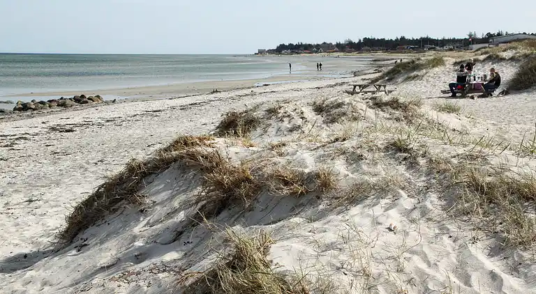 Gemütliches Ferienhaus 100 m vom Sandstrand
