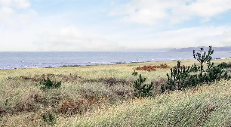 Sommerhus i Store Fuglede