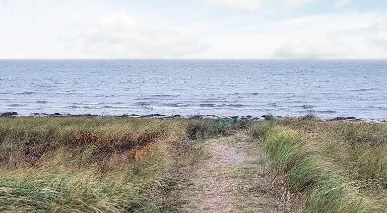Sommerhus i Store Fuglede