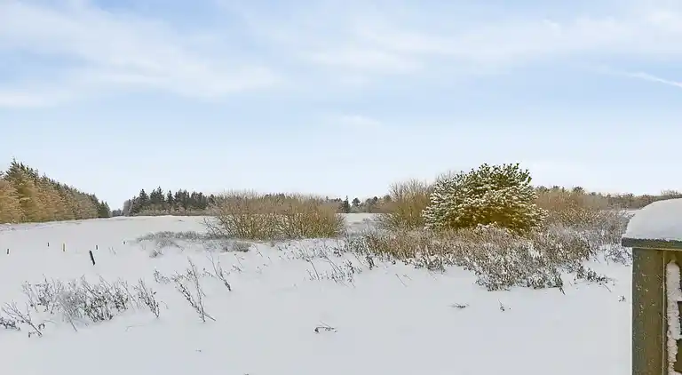 Ferieophold med terrasse ved hav og golf