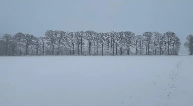 Farm house in Haarlo