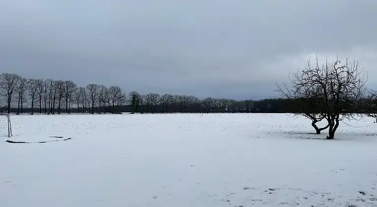 Farm house in Haarlo