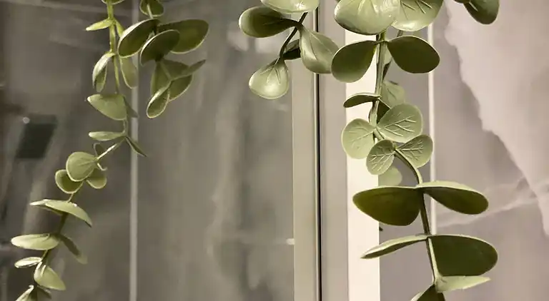 Apartment in Islington