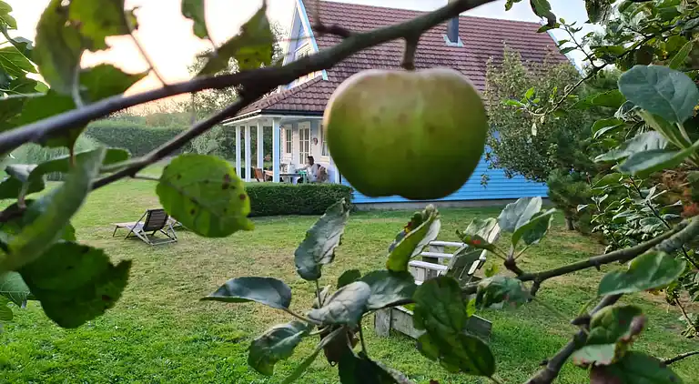 Maison en bord de mer dans les dunes