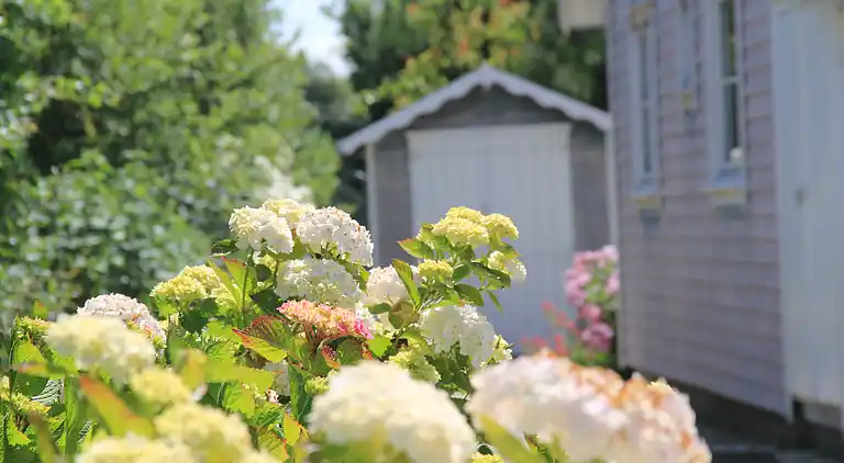Maison en bord de mer dans les dunes