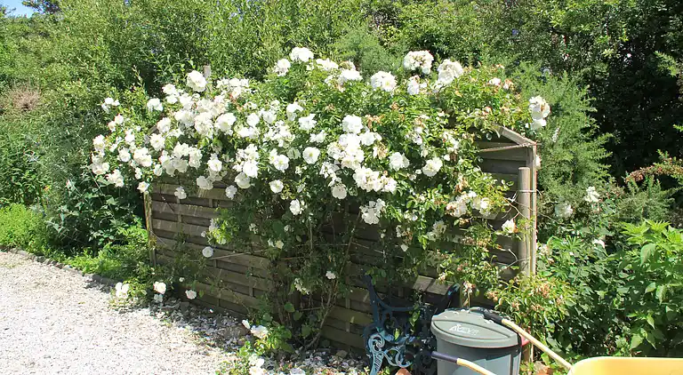 Maison en bord de mer dans les dunes