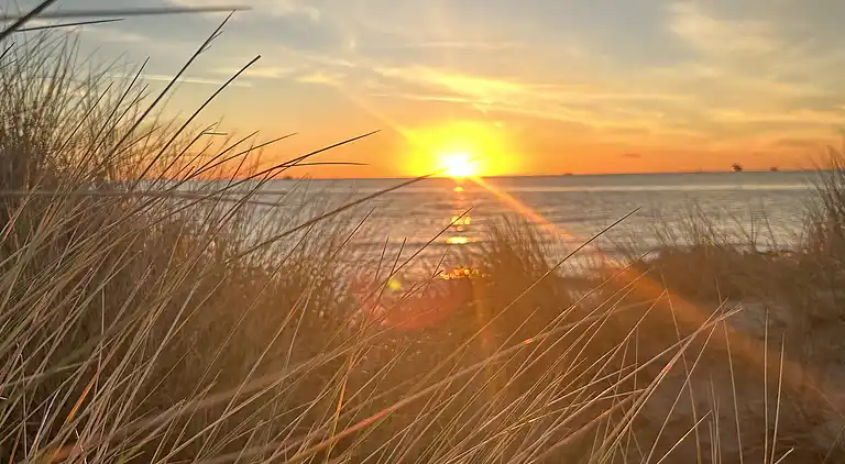 Sommerhaus am Strand in Ålbæk