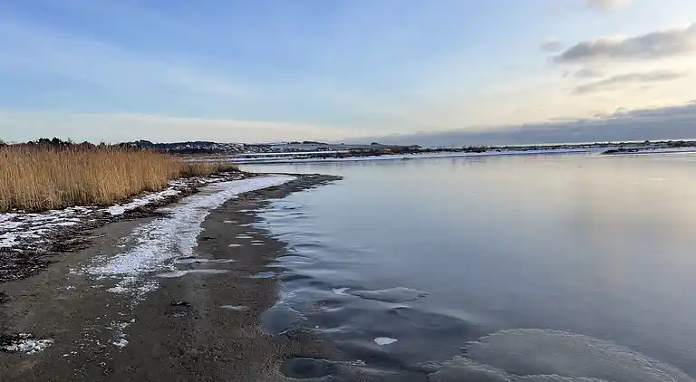 Gemütliches, reetgedecktes Ferienhaus-ladestation