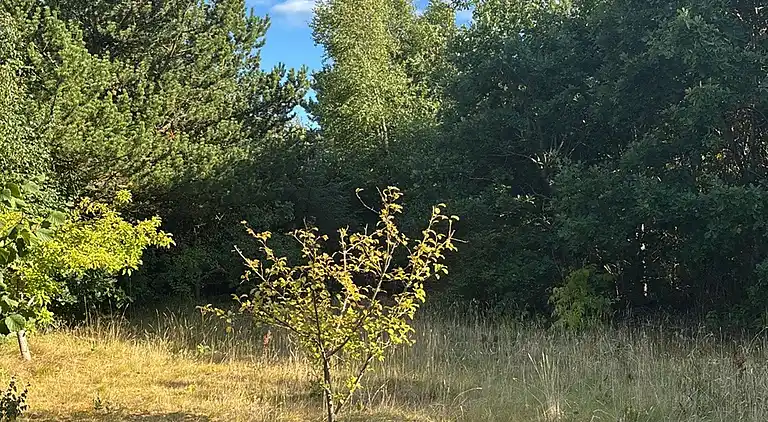 Gemütliches Haus nahe Natur, Stadt und Strand