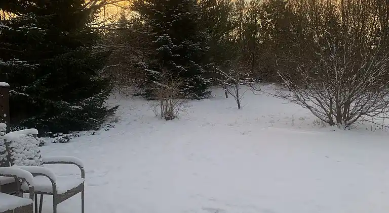 Gemütliches Haus nahe Natur, Stadt und Strand