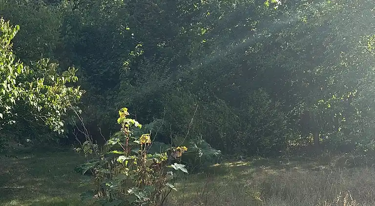 Gemütliches Haus nahe Natur, Stadt und Strand