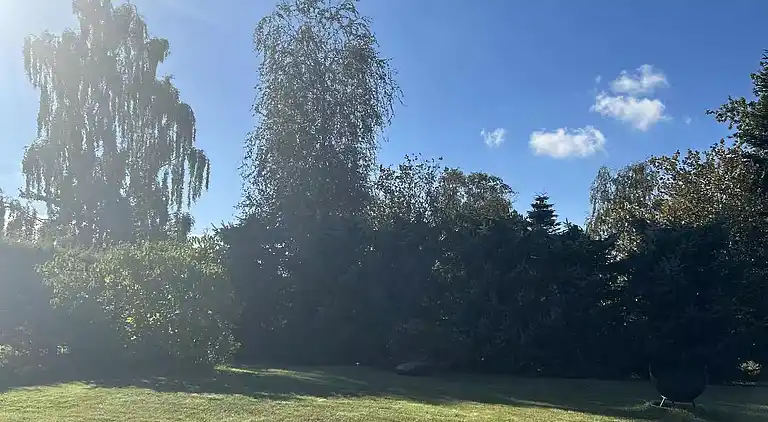 Hyggeligt sommerhus nær strand og oplevelser