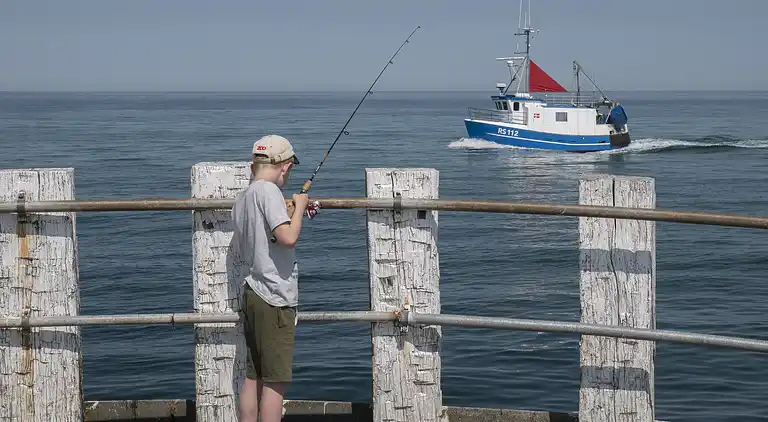 Schönes Sommerhaus in der Nähe des Meeres