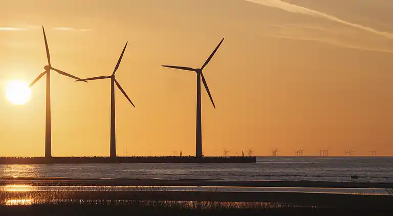 Schönes Sommerhaus in der Nähe des Meeres