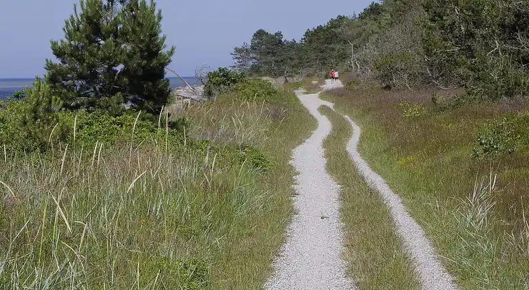 Schönes Sommerhaus in der Nähe des Meeres