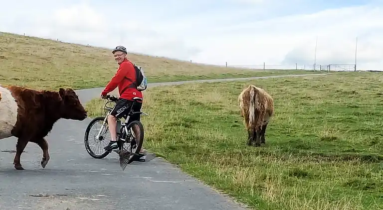 Holiday home in Otterndorf