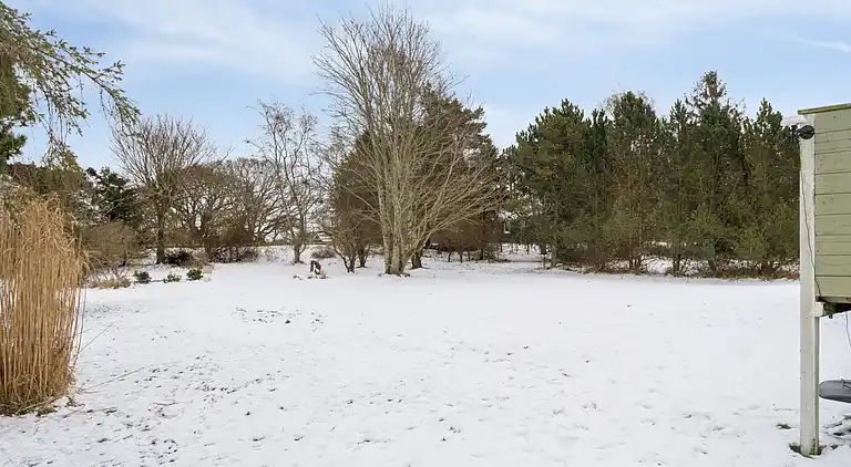 Hyggeligt sommerhus tæt på strand og natur
