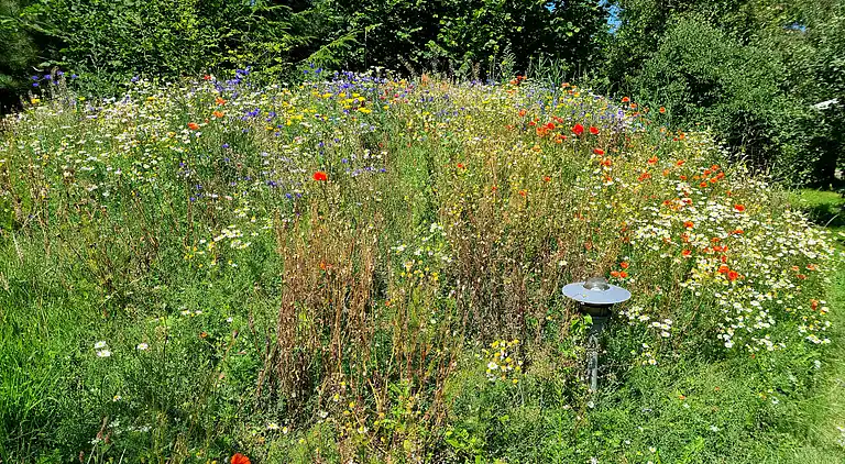 Helles Ferienhaus nur 300 m vom Wasser