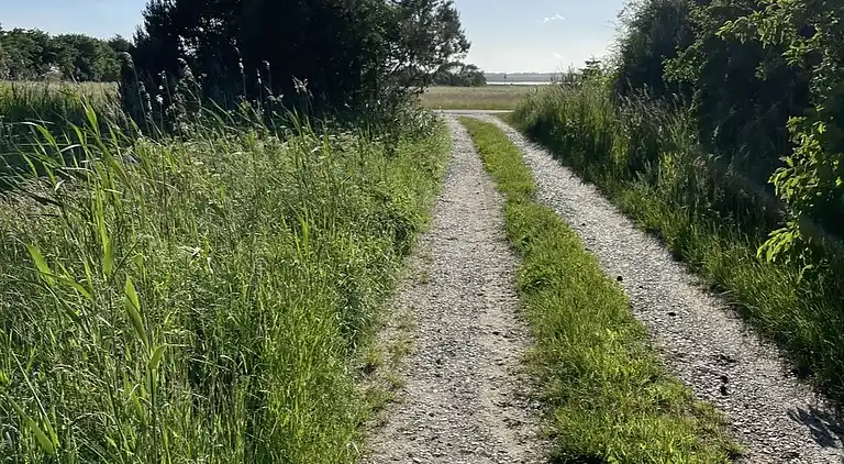 Ruhiges Ferienhaus mit Blick auf Randers Fjord