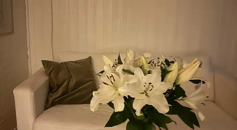 Lækkert sommerhus med havudsigt