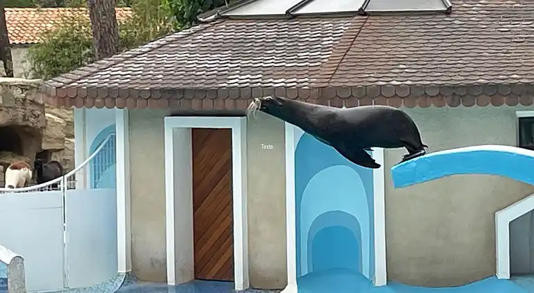 Superb Mobilhome Ba302 - 3 bedrooms Siblu Bonne Anse La