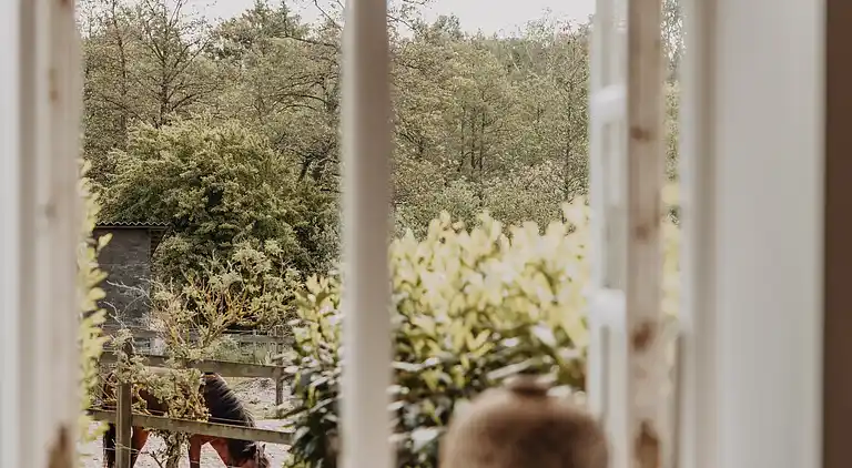 Idyllisches Haus auf einem Reiterhof