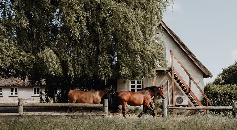 Idyllisches Haus auf einem Reiterhof