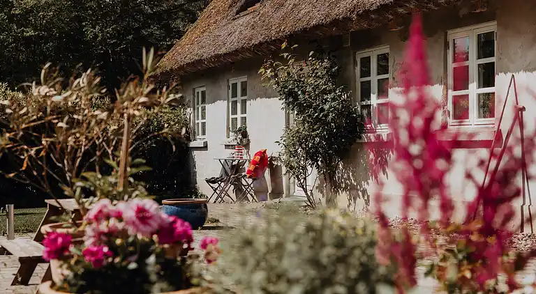 Idyllisches Haus auf einem Reiterhof