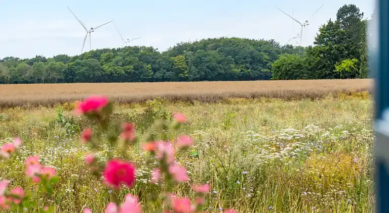 Cozy farmhouse close to the sea