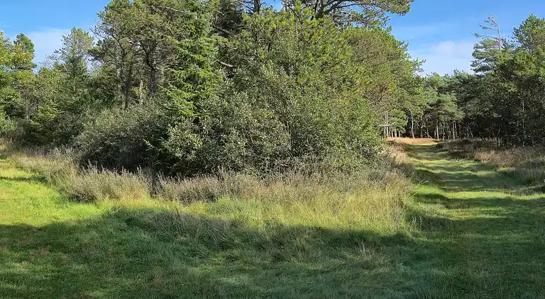 Vakantiehuis in Havneby