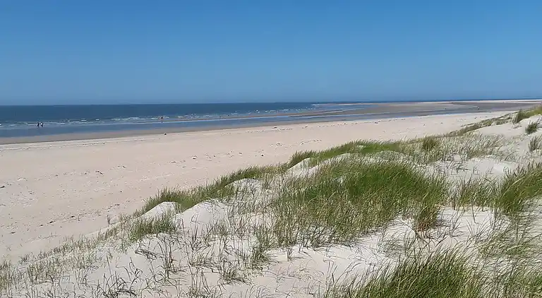 Holiday home in Kongsmark