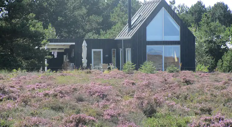 Natur for alle pengene her på skønne Læsø