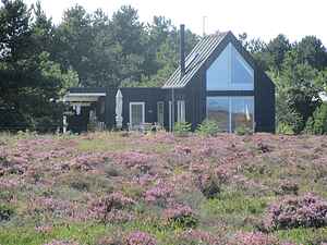 Natur for alle pengene her på skønne Læsø