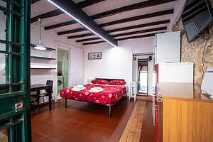 Nice studio in Trastevere
