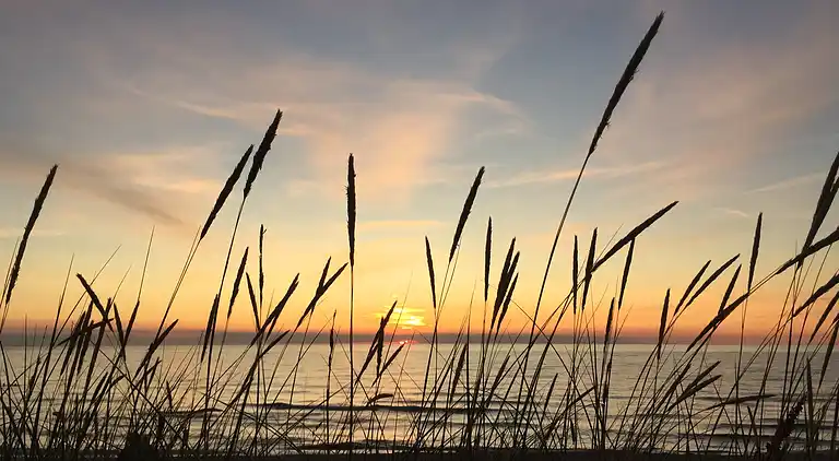 Modernes, stilvolles Ferienhaus an Nordküste