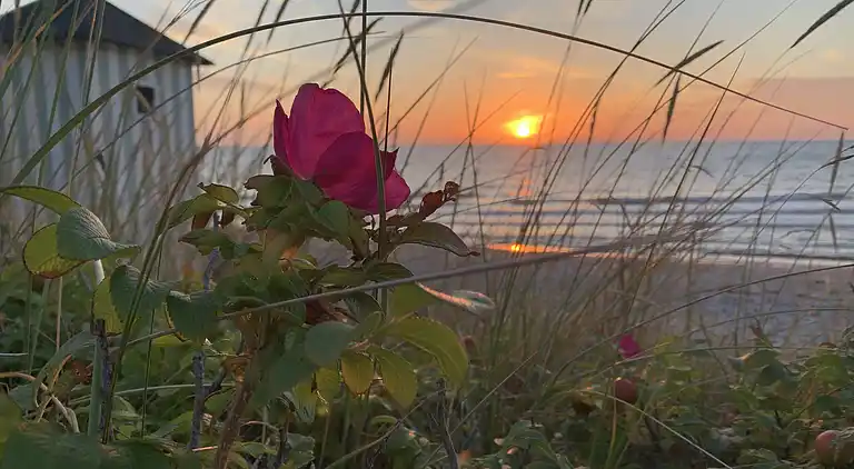 Modernes, stilvolles Ferienhaus an Nordküste