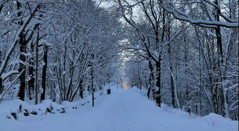 Acogedora villa cerca del lago y la naturaleza y de Liseberg