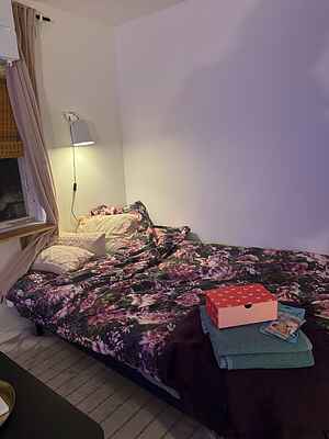 Tiny house at Enhörna