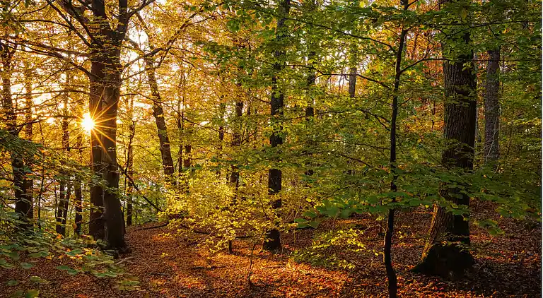 Acogedora villa cerca del lago y la naturaleza y de Liseberg
