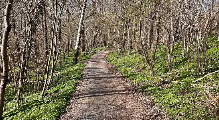 Acogedora villa cerca del lago y la naturaleza y de Liseberg