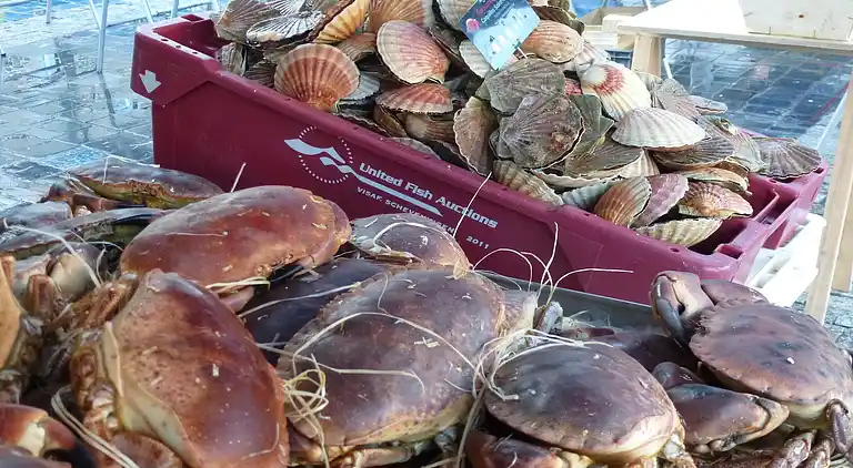 Holiday home in Fréhel