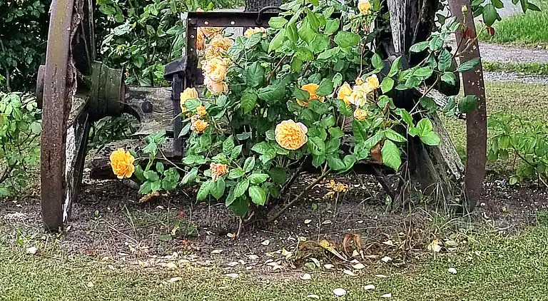 "Kornloftet" – smuk bolig i gammel lade